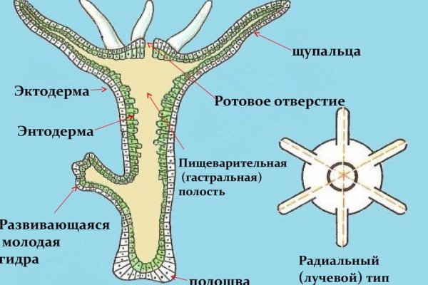 Кракен торговая площадка даркнет