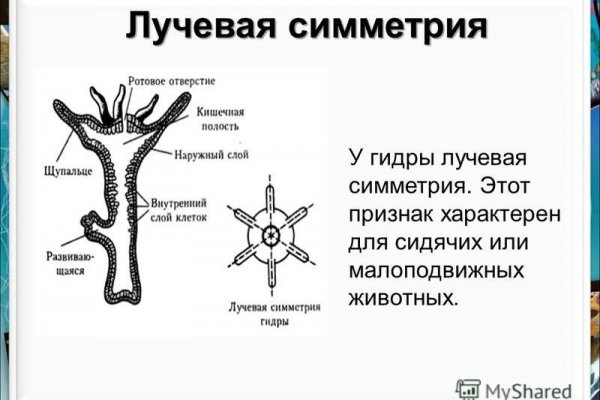 Кракен интернет