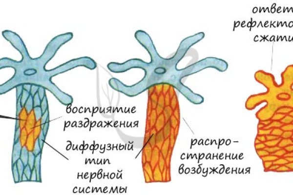 Кракен сайт как зайти